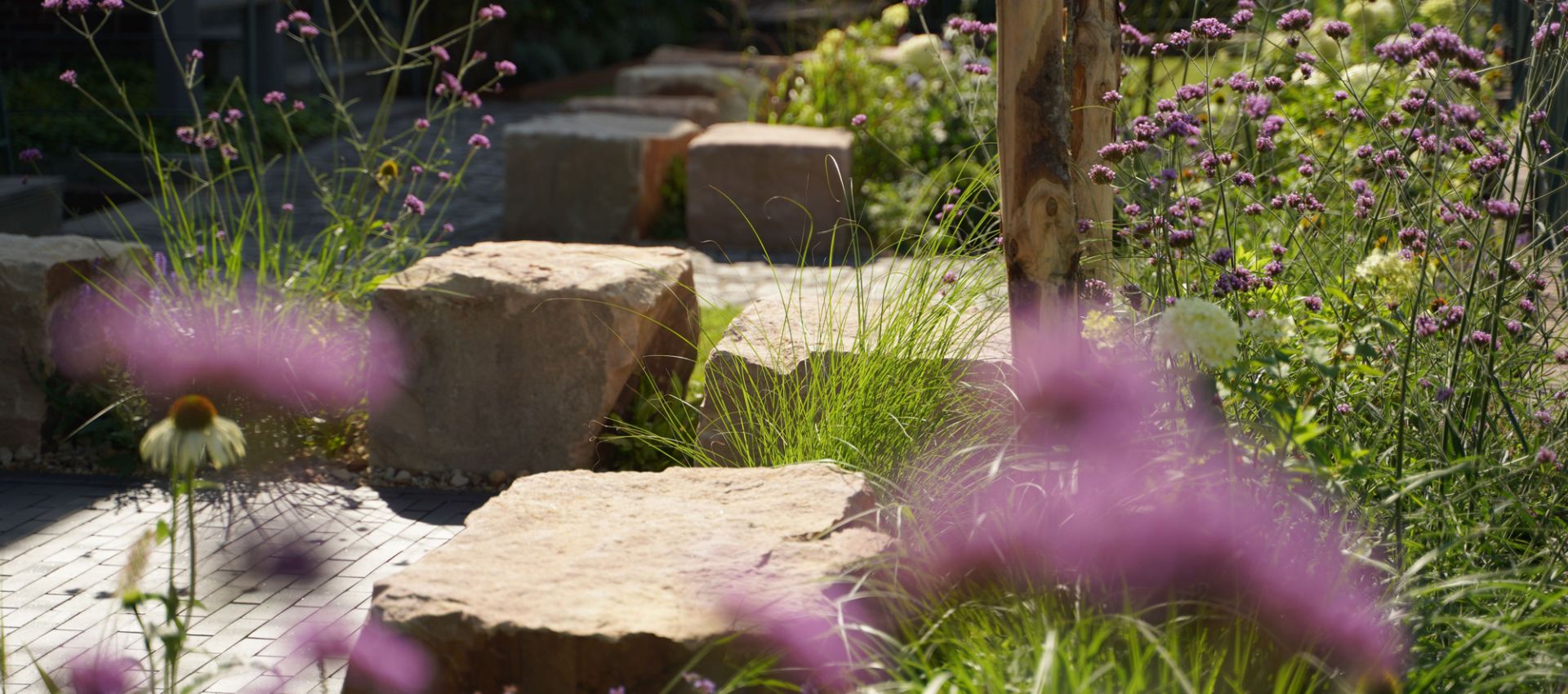 Projekt Gartengemeinschaft Seitenansicht Weg