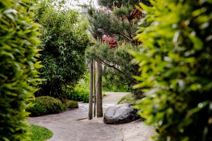 Projekt Park der Gärten Weg zwischen Büschen