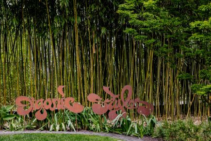 Projekt Park der Gärten Das Wort „organic styles“ vor Bambus