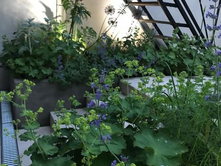 Projekt Hauch von London Treppe