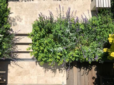 Projekt Hauch von London Beet Vogelperspektive