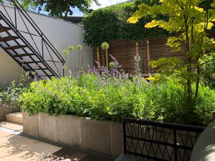 Projekt Hauch von London Beet
