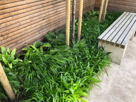 Projekt Hauch von London Gräser