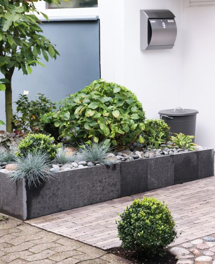Projekt Familiengarten Pflanzen am Hauseingang